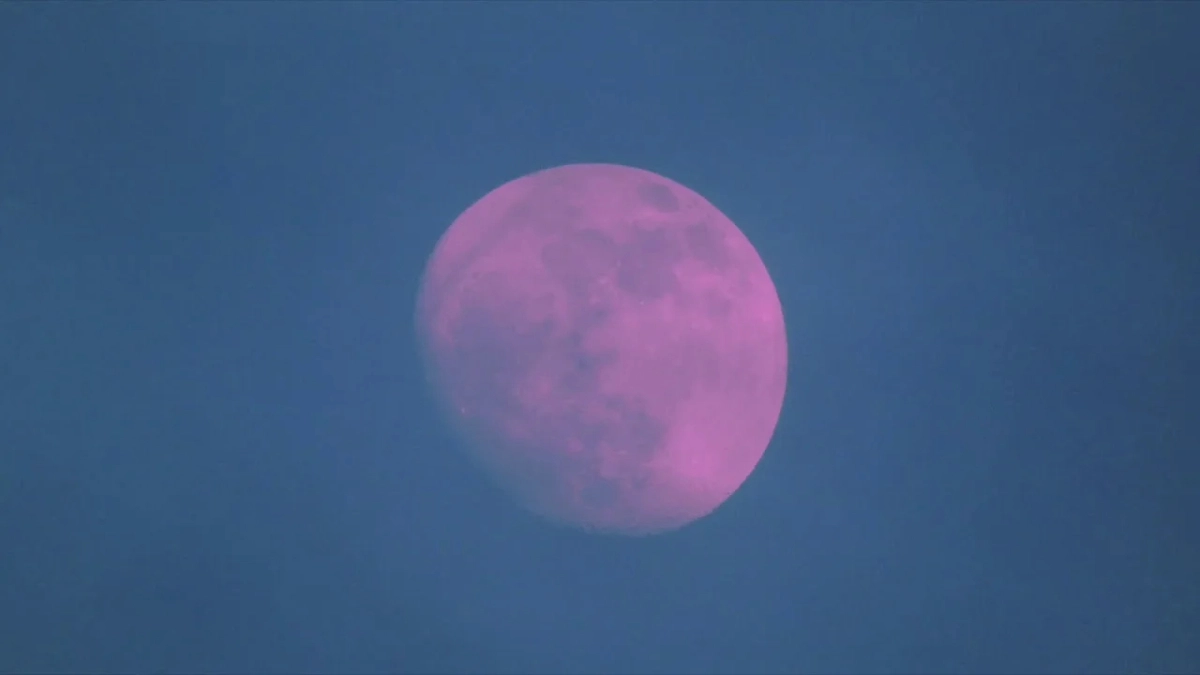 Жители Мордовии могут наблюдать «Розовую Луну» в ночь на 2 апреля