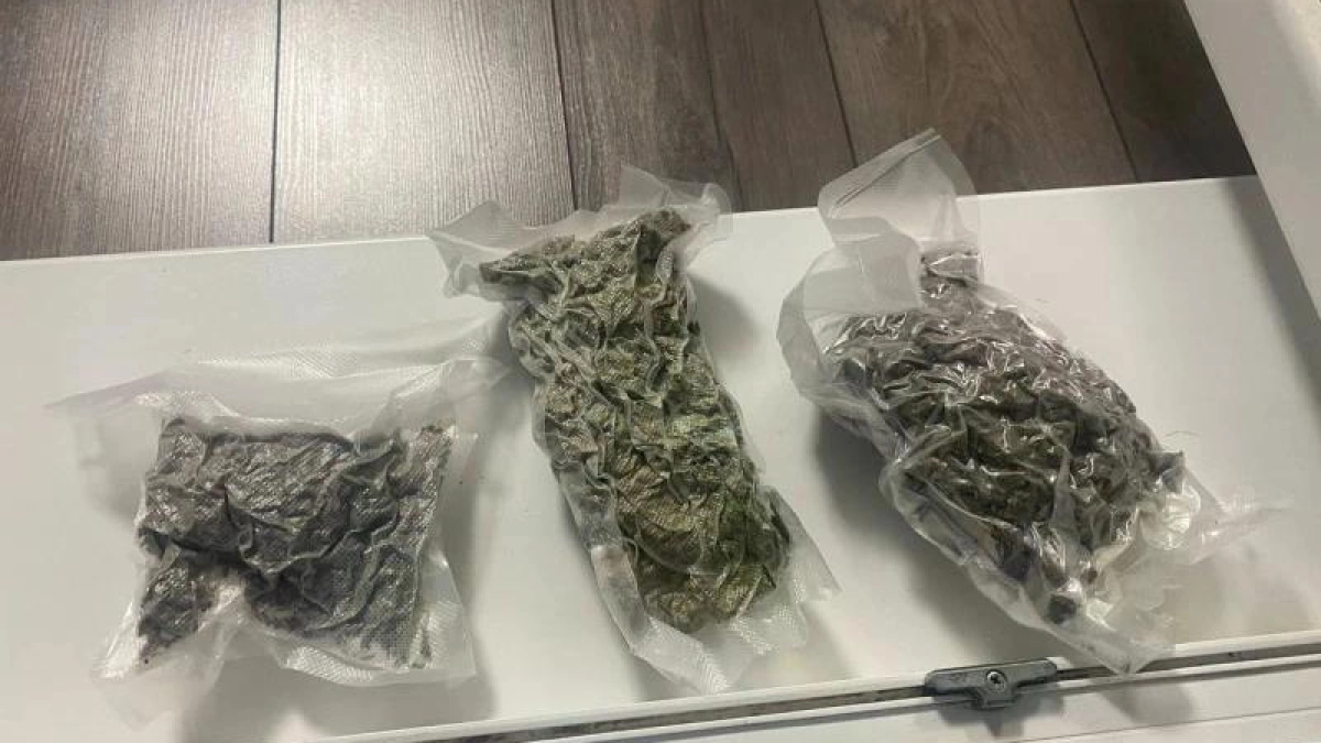 В Саранске местный житель прятал марихуану в вакуумных пакетах