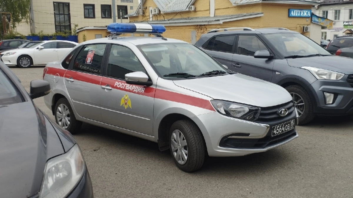 В Саранске сотрудникам ГАИ и Росгвардии удалось поймать пьяного водителя