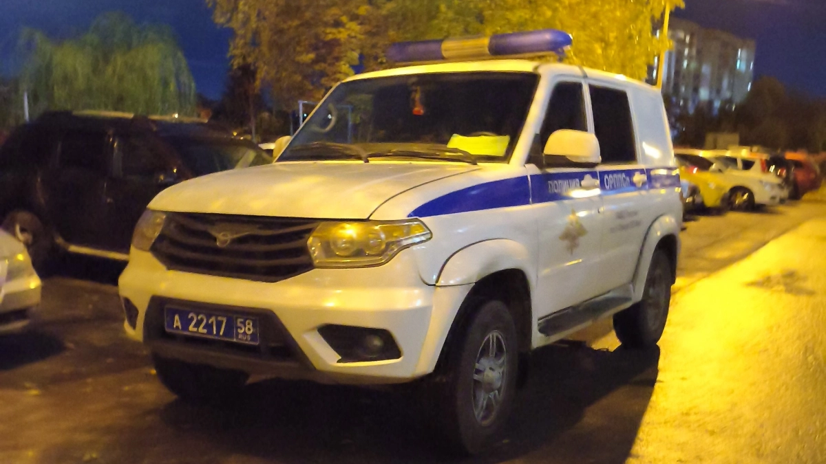 В Мордовии сотрудники полиции депортировали трех иностранцев, причастных к кражам