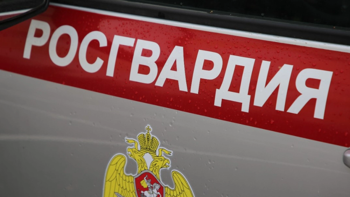 В Мордовии сотрудники Росгвардии свыше 60 раз выезжали по сигналу «тревога» за неделю