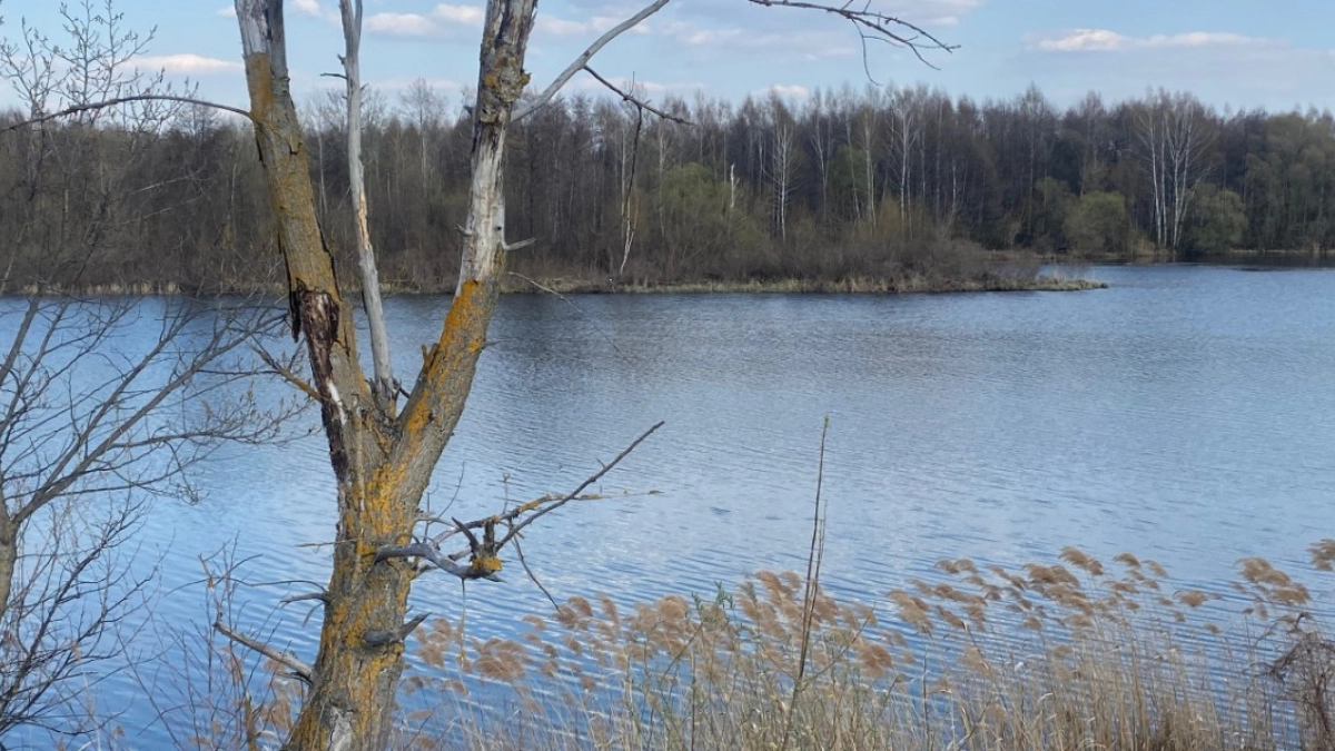 На всех реках Мордовии замечен интенсивный подъем уровней воды