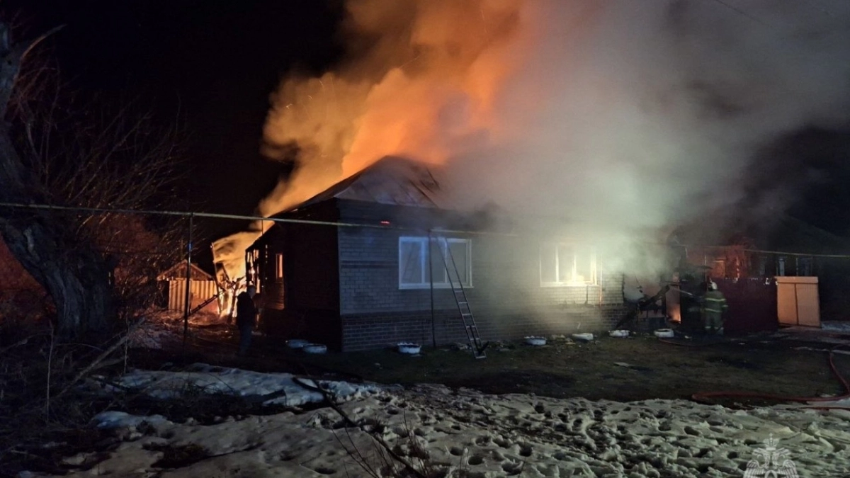 Причина пожара выясняется: пожарные Мордовии потушили огонь в сельском нежилом доме