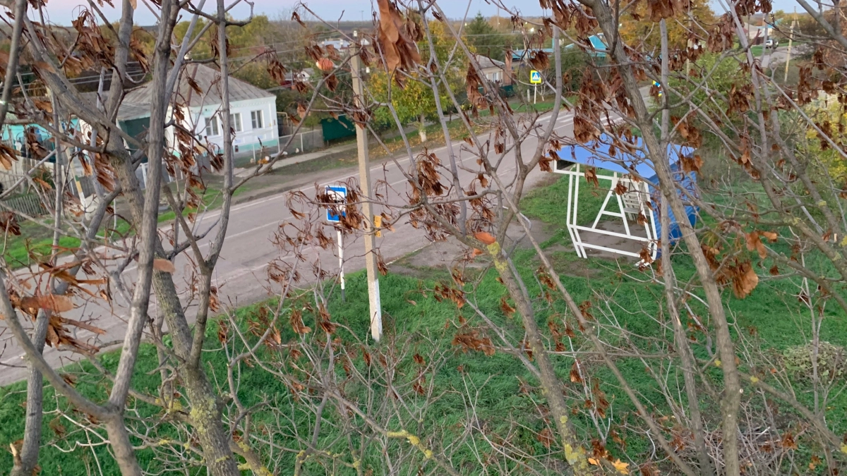 Россельхознадзор реогранизовал подчинение Мордовского регионального управления