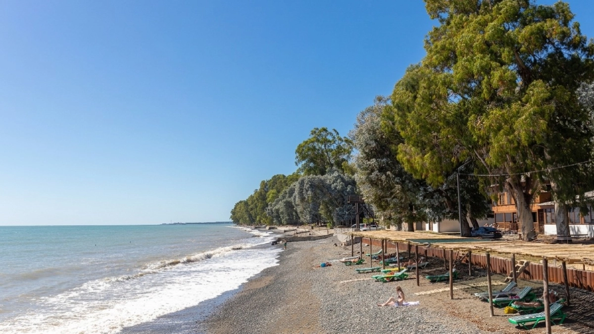 Вместо дорогущей заграницы: россияне открыли новый курорт с эвкалиптовыми пляжами - вот куда нужно ехать на майские для перезагрузки