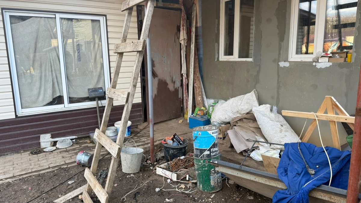 Фанера и термопанели — больше не в моде: сейчас все обшивают каркас этим эко-материалом — не разбухает, не коробится и стоит недорого