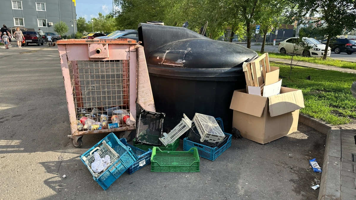 Мордовия обновит парк мусоровозов: до 2028 года закупят 23 единицы спецтехники