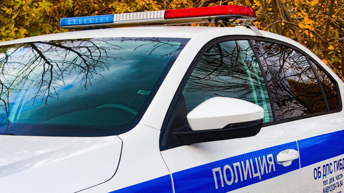 В Мордовии пресечена попытка сбыта гашиша: задержаны двое жителей Нижегородской области