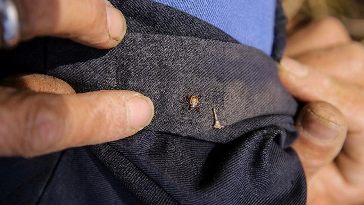 Весной 2 капли на одежду для защиты от клещей: защищают целый день, безопасны для детей и животных