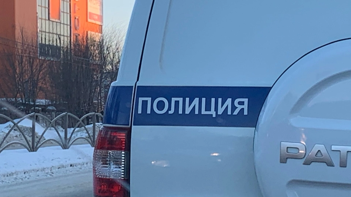 Проверили через соцсети: в Саранске полицейские установили подростков, бросивших снежок в прохожую