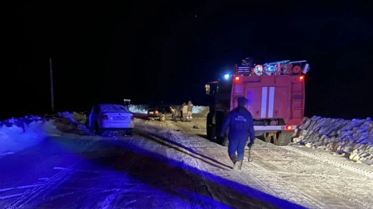 Водитель «Поло» в Мордовии покалечил двух человек и сбежал