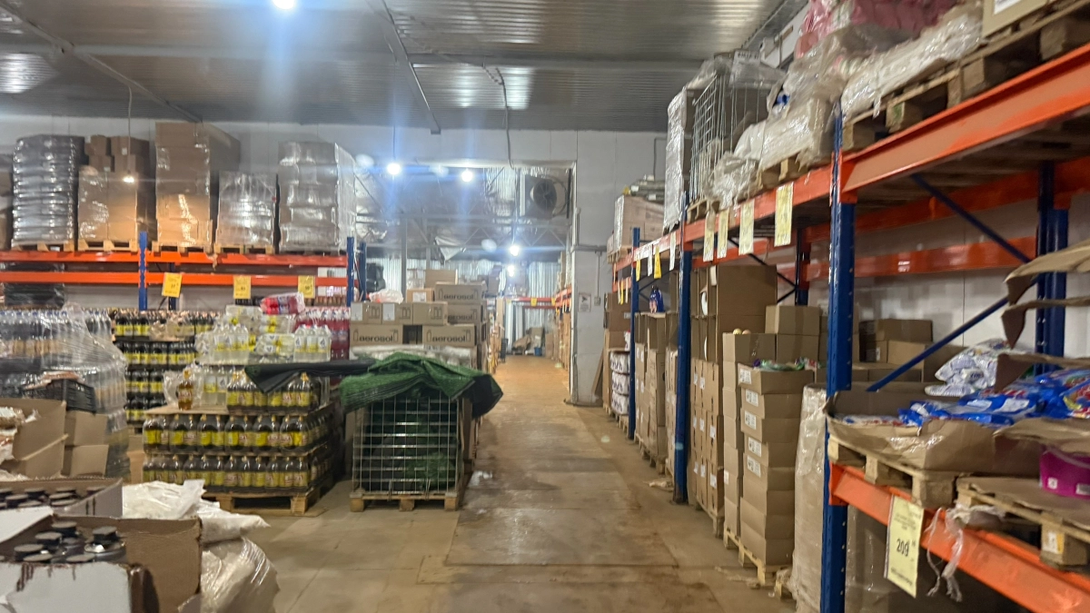 Забудьте про дорогой поликарбонат: в Светофоре нашли стильную альтернативу для теплиц за 500 руб, которая выглядит дороже цены