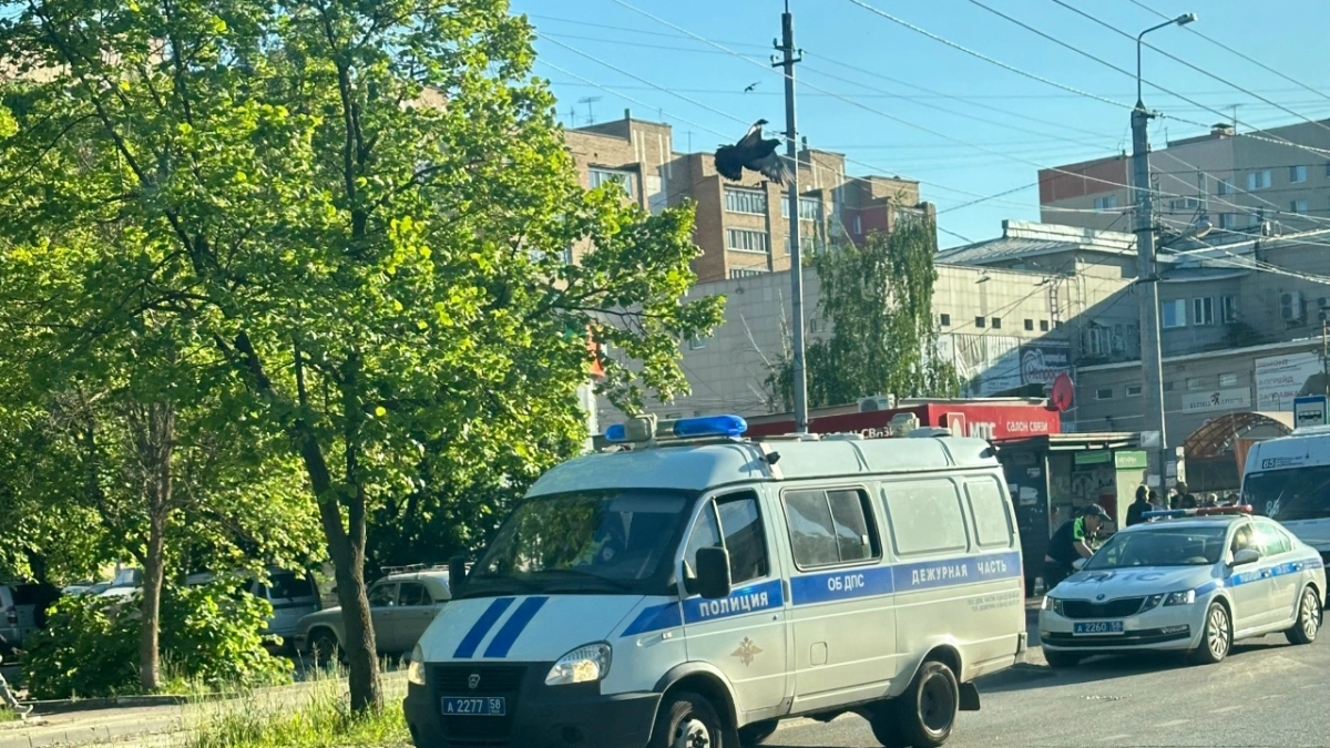 В гараже жителя Краснослободска вместо машины нашли марихуану