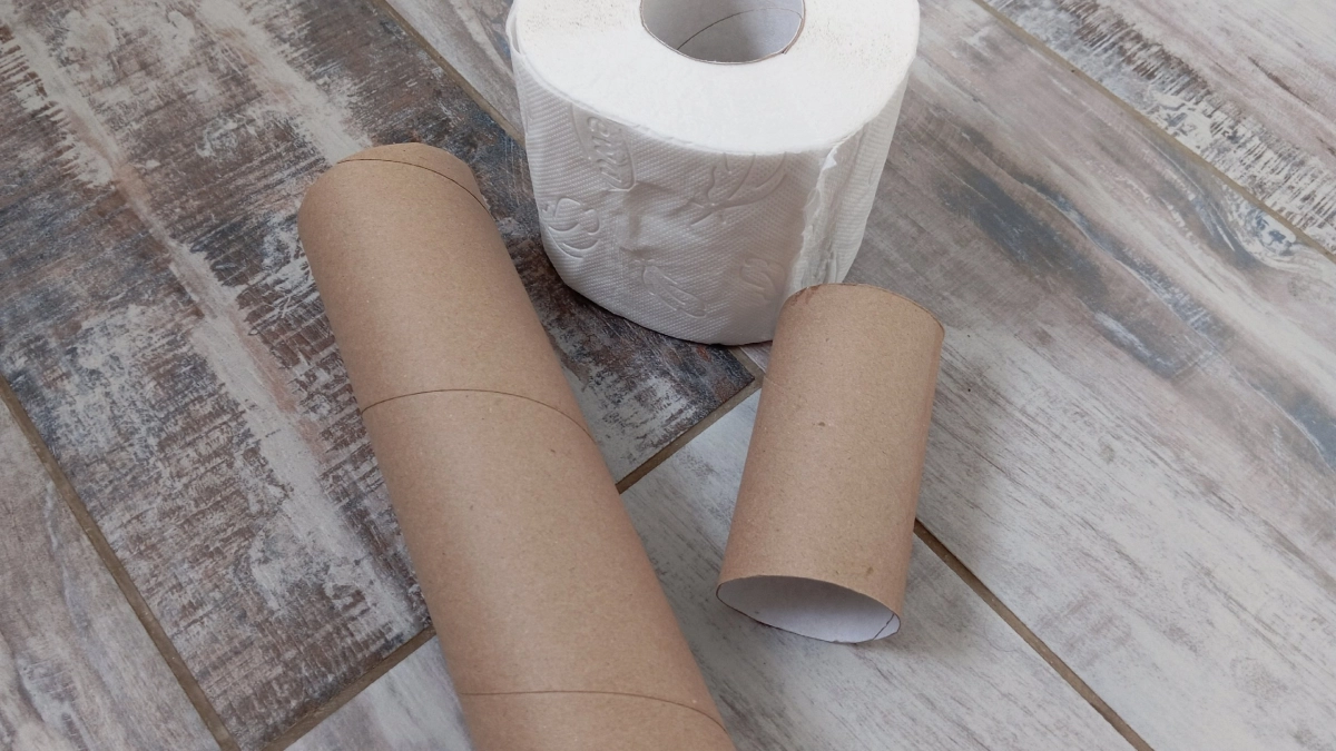 Втулки от туалетной бумаги храню как зеницу ока: мастерю 7 полезных идей для дома и сада