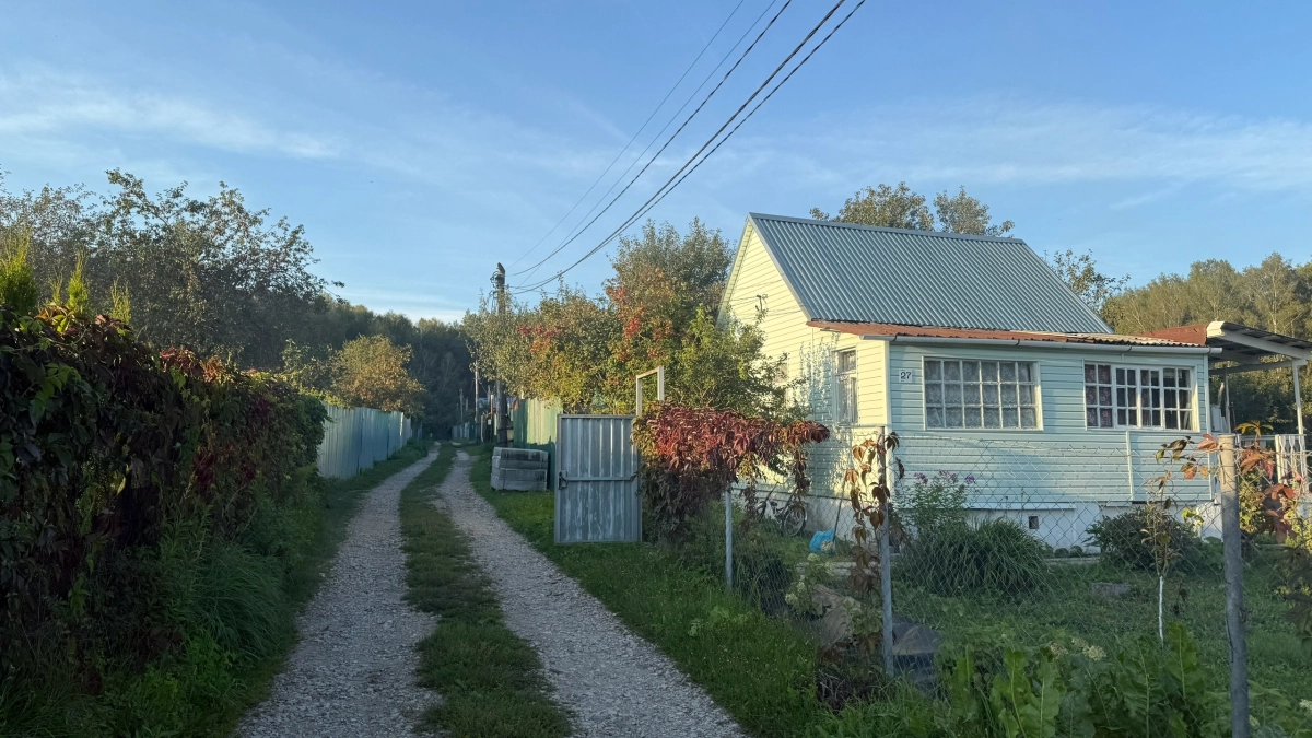 Переехали жить в деревню и через год поняли, почему в деревнях сейчас не живут сельским хозяйством - истина всегда была на виду