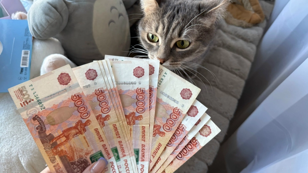 Бренд-менеджеру и инженеру в Мордовии предлагают от 100 тыс. рублей