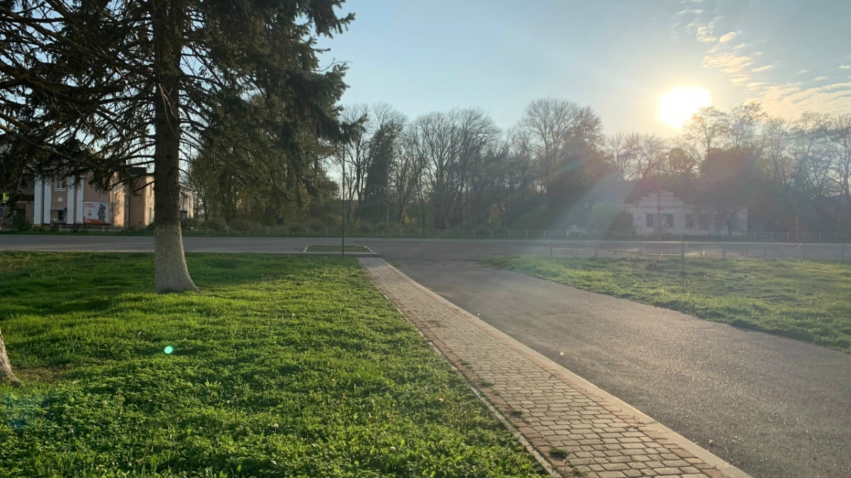 У клеща, снятого с жителя Мордовии, нашли боррелии