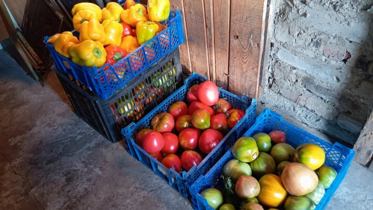 В Саранске до 25 апреля установят 10 новых мини-рынков для дачников