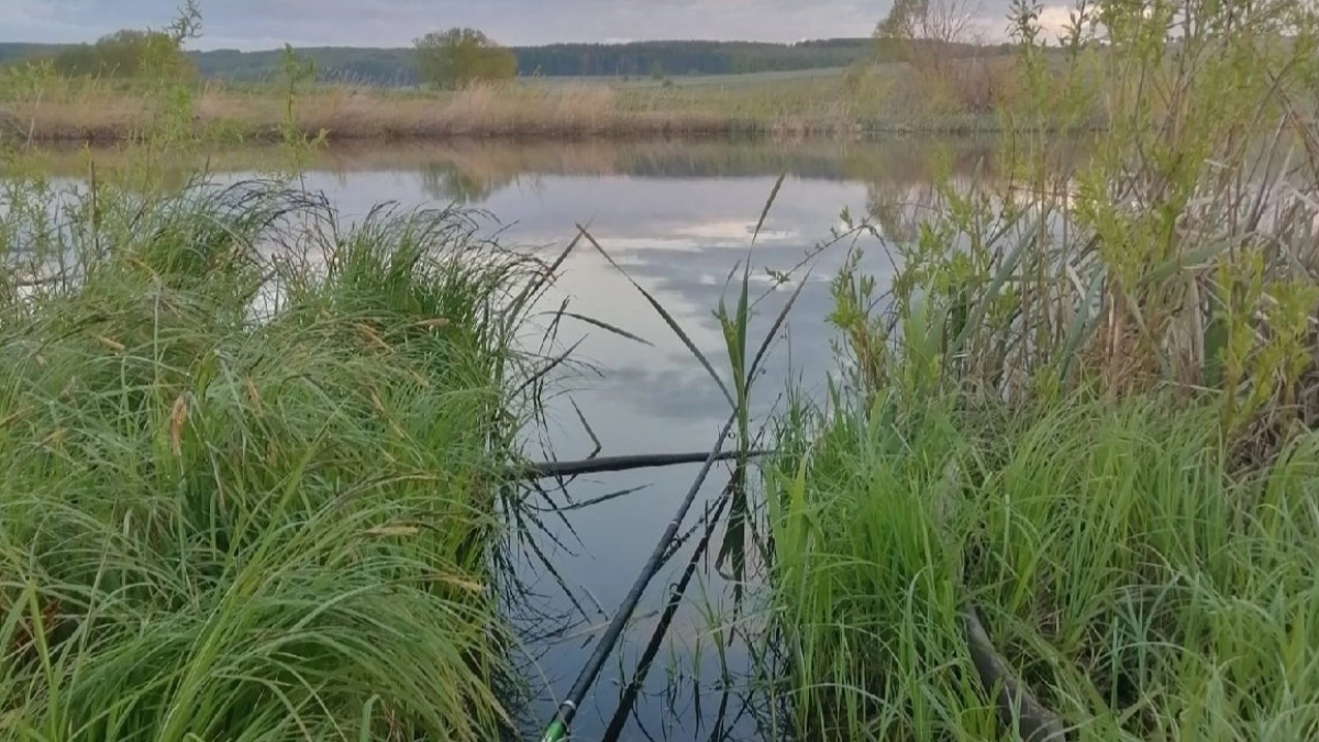 Налегке порыбачить уже не получится: новые штрафы для рыбаков и браконьеров в 2026 году - кого и за что накажут
