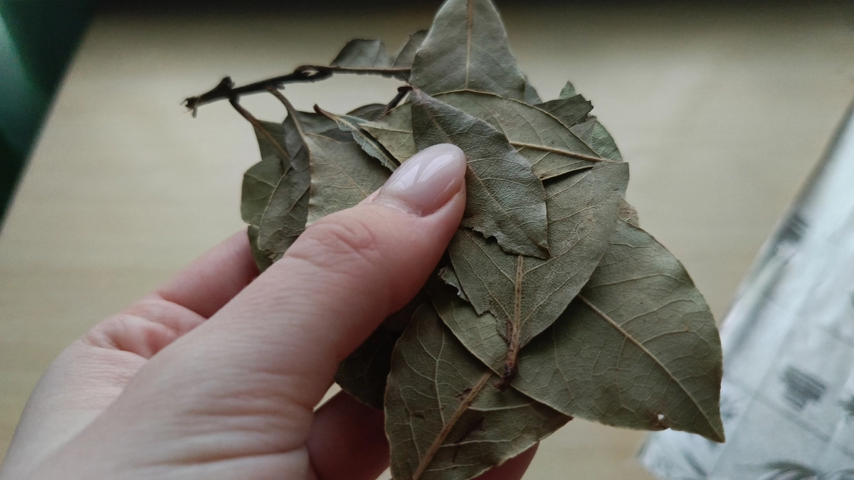 Поджигаю лавровый лист в доме каждый апрель: старый ритуал, который попал в тренды - и вот почему