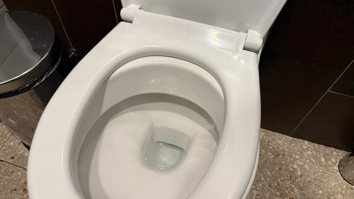 Бросаю в унитаз 3 ложки средства – забыла о мочевом камне и желтизне: в туалете аромат, как в Версальских садах 