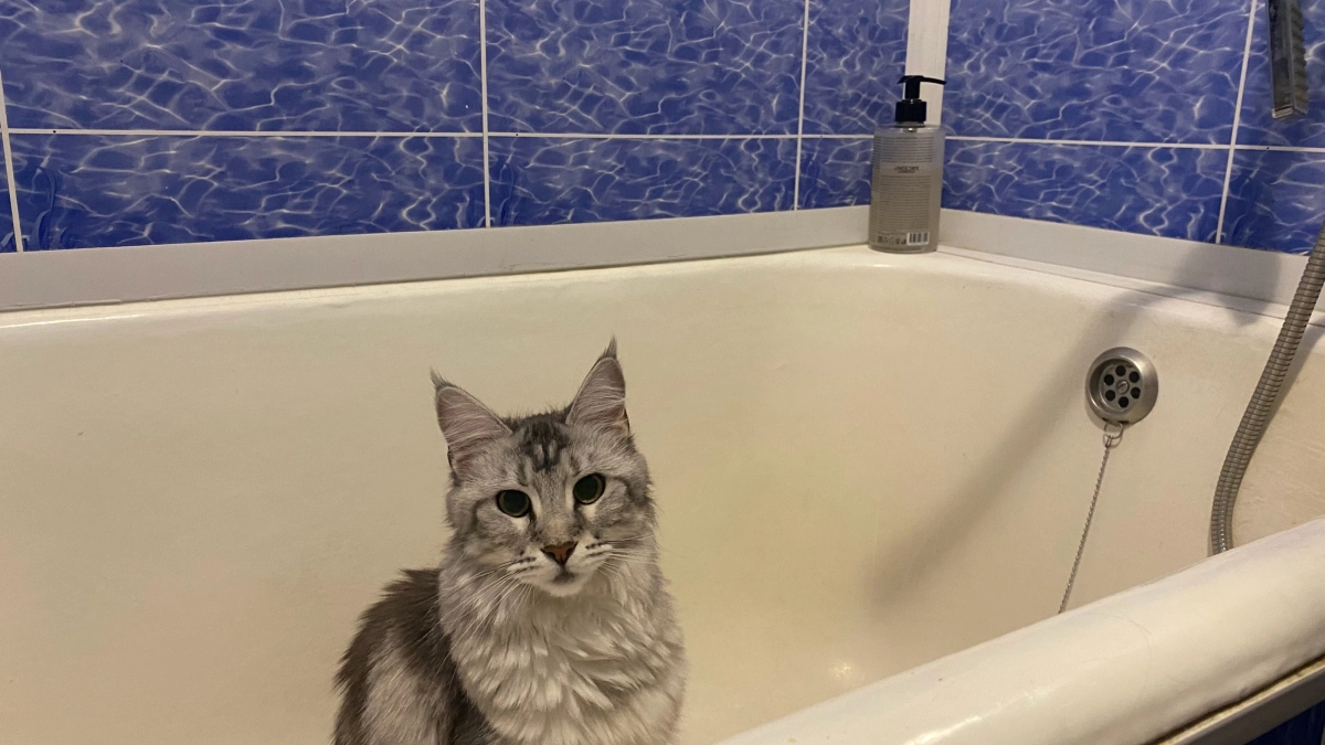 Кафель в ванной уже устарел: новый материал приходит на смену — монтируется за 1 час и выглядит солидно