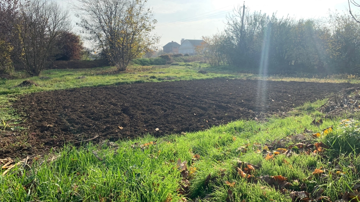 Вы сами превращаете дачу в магнит для змей: 5 привычек огородников, которые привлекают всех змей в округе 