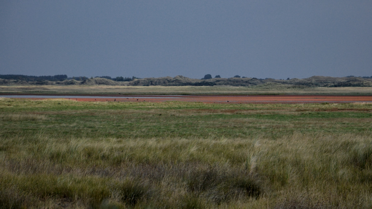 В Мордовии экотропы заповедника привлекли более 15 тысяч туристов
