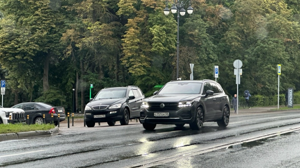 Жителей Мордовии предупредили о сильных дождях