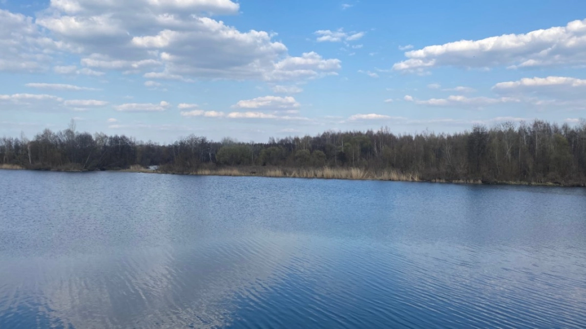 В Саранске глава водного управления проверил, в каком состоянии р. Инсар после паводка