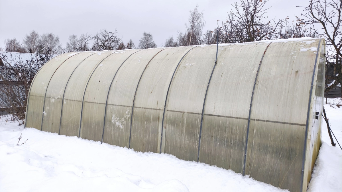 Поликарбонат уже не тренд для теплиц: новый материал не трескается и не желтеет — устойчив к граду и сильным ветрам