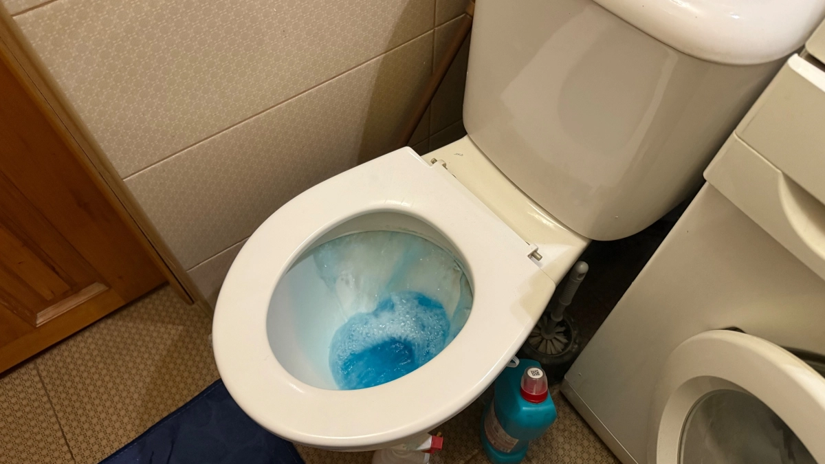 1 стакан в унитаз на ночь - утром даже вековая грязь канула в Лету: чище чем в бизнес-классе