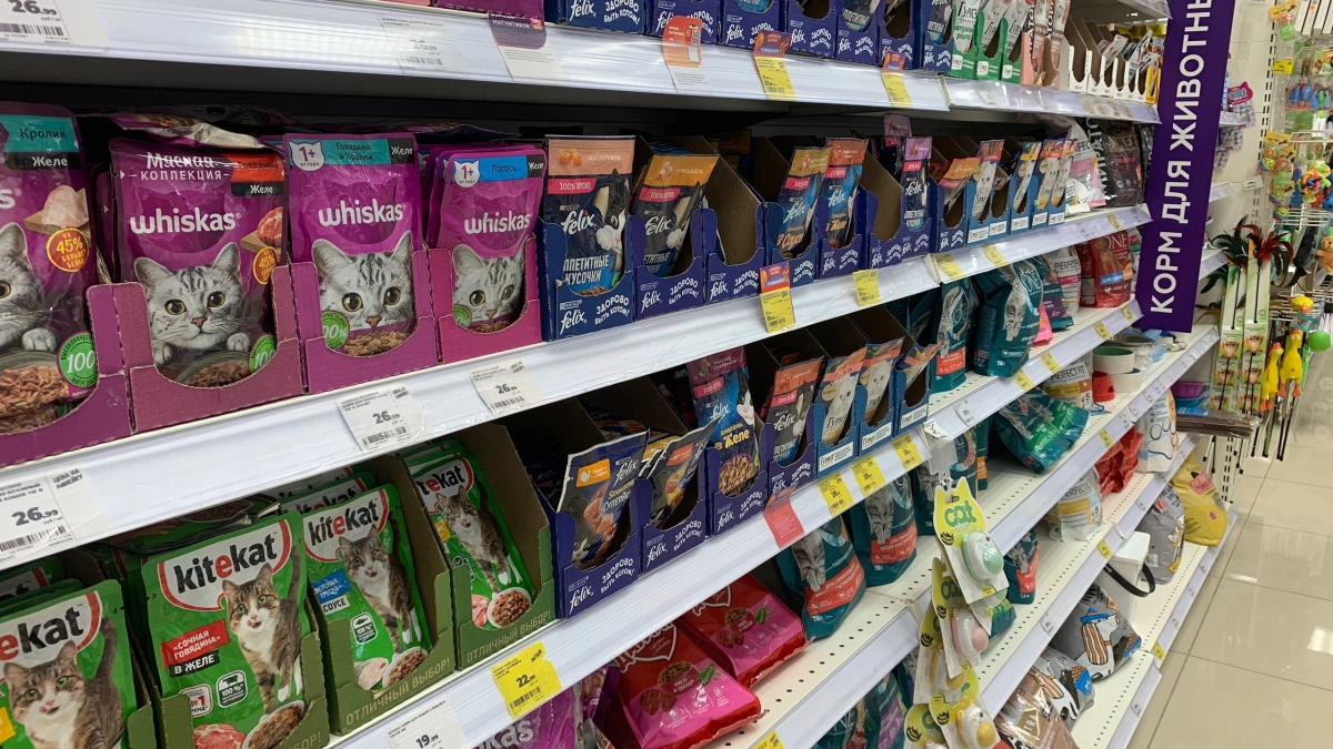 Удивился, когда узнал зачем опытный рыбак всегда берет на рыбалку корм "Whiskas": хитрая приманка для мощного улова - теперь делаю также