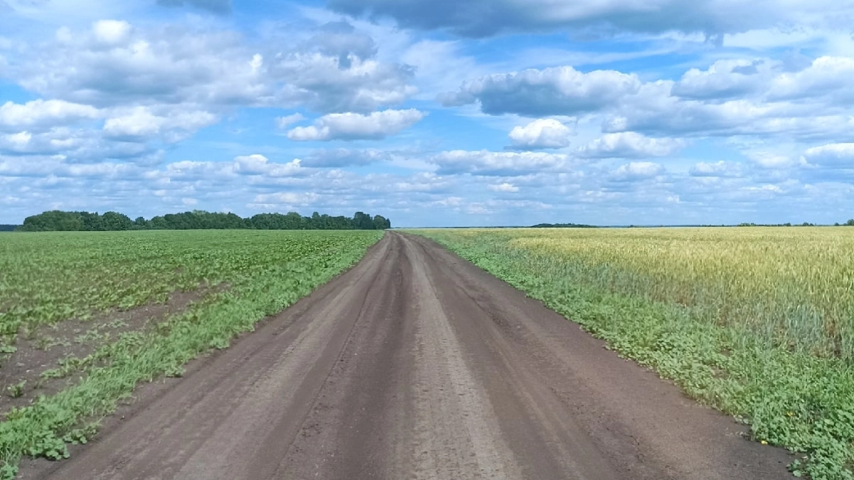 Россельхознадзор нашел 39 тыс. тонн сырого зерна с сорняками в Мордовии