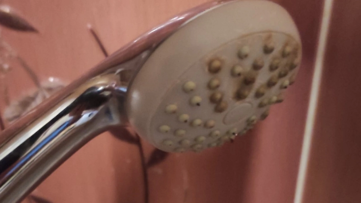 Напор 10 из 10 вместо вялых струек: чем почистить лейку душа от засора без снятия — нужна пластиковая бутылка и 15 минут
