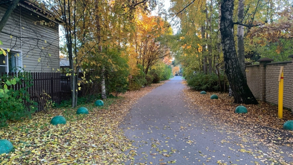 Мужчина а Алово пришел за фото, а нашел скелет в заброшенном доме