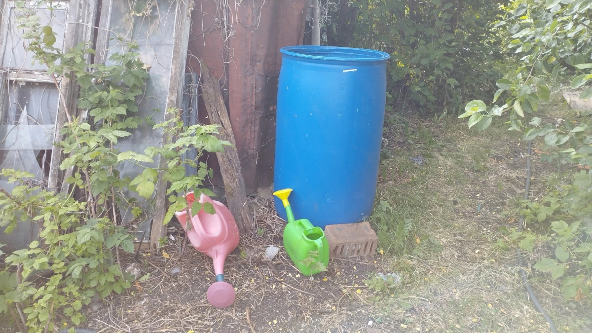 От вертикальной грядки до летнего душа: 5 классных идей использования старой железной бочки на дачном участке