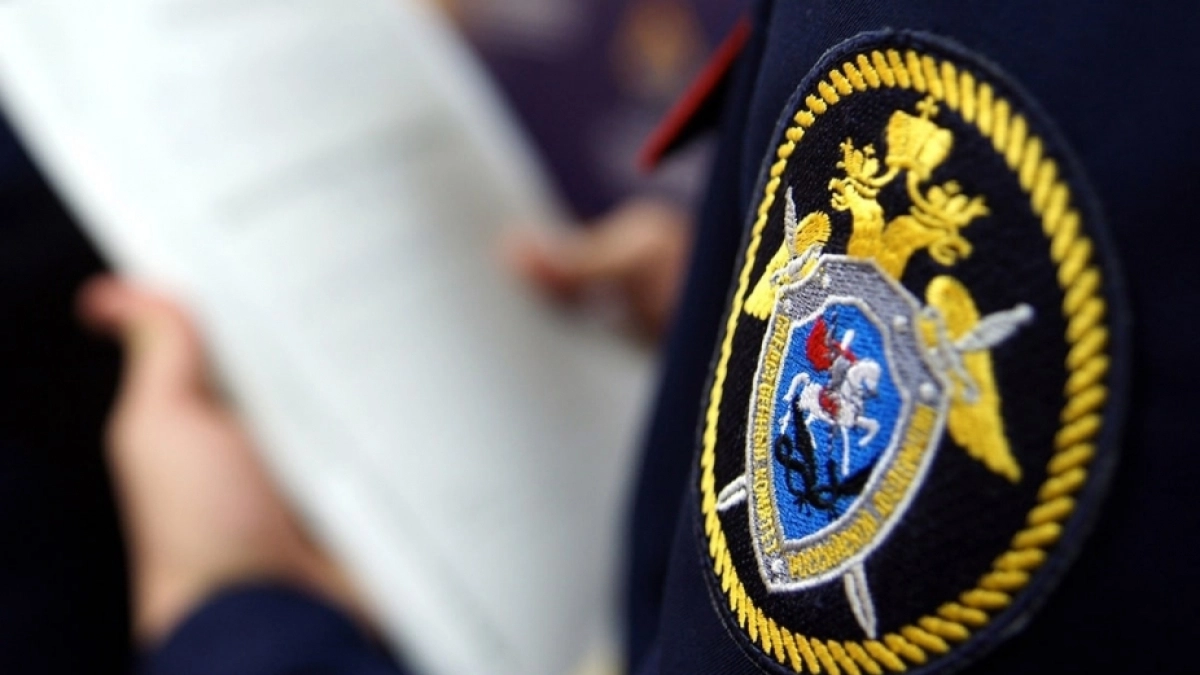 Бастрыкин затребовал доклад о восстановлении моста в деревне Васильевка