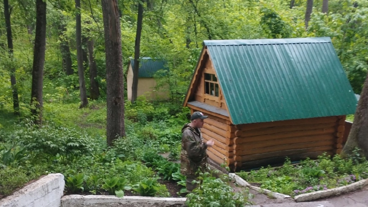 Не надо ни монеток ни ниток: как опытные лесники легко удаляют впившихся клещей - быстрый и безболезненный способ