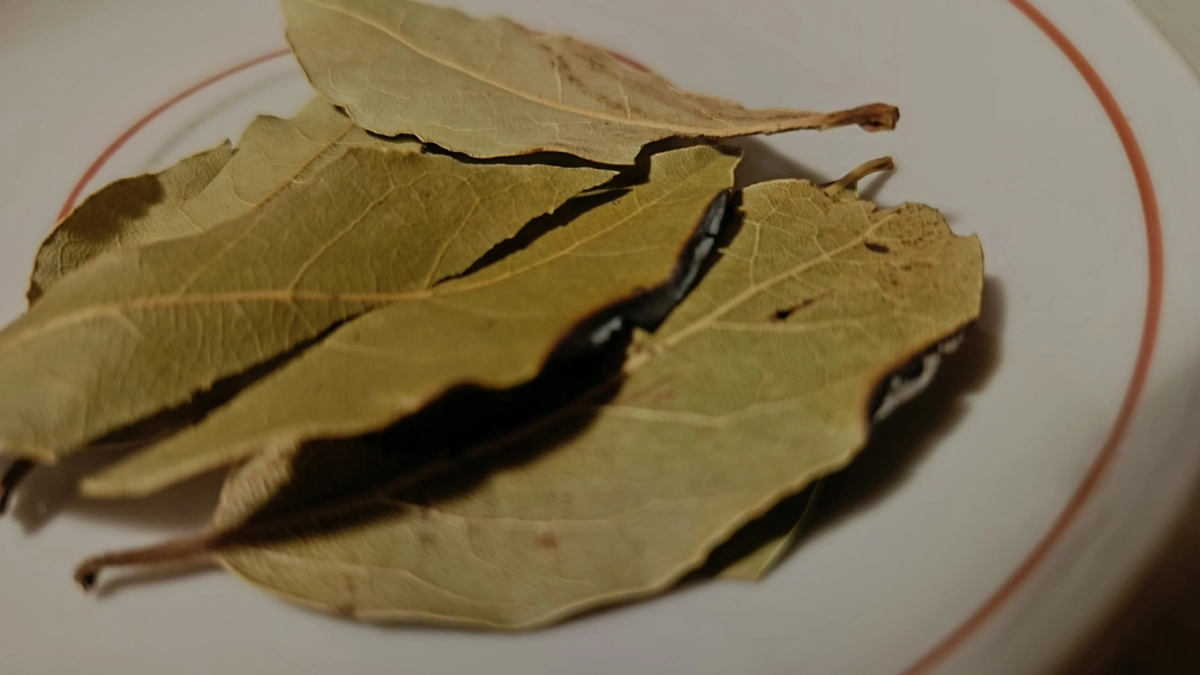 Бабушка всегда клала лавровый лист в бутылку с маслом: узнал причину и теперь вся семья делает также - вот в чем ее секрет