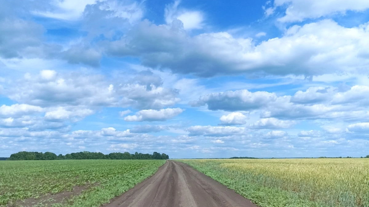 В Мордовии открыли приём заявок на субсидии для агрокооперативов