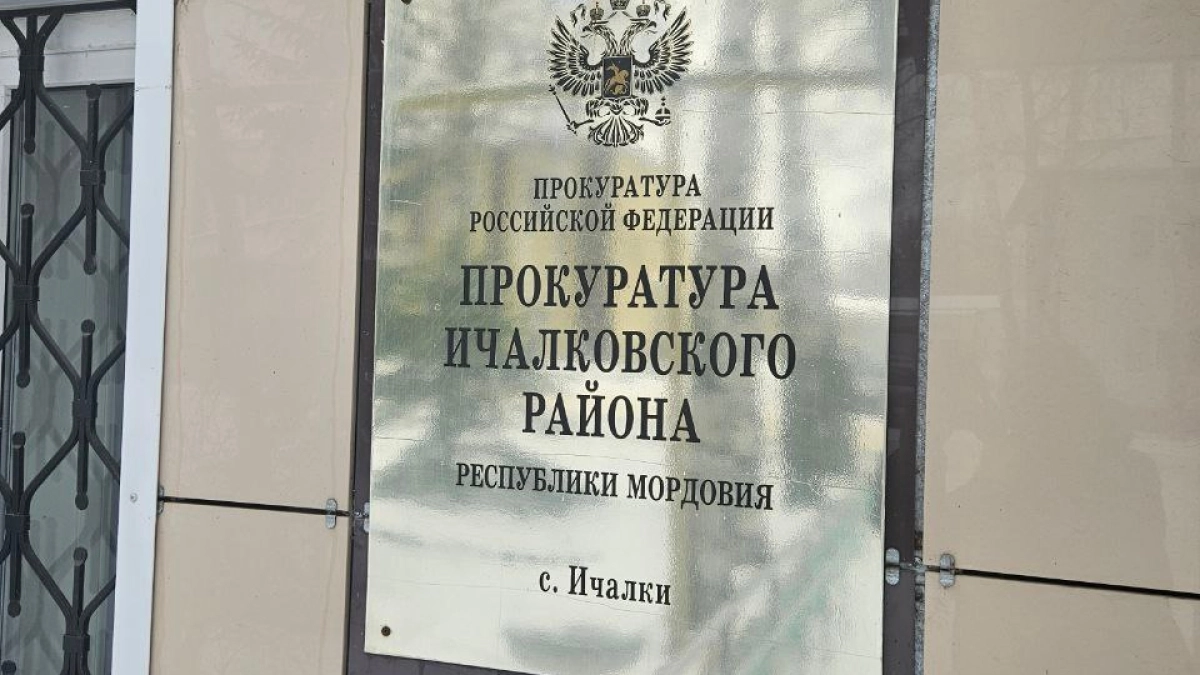 «Фиктивная ставка» обошлась заведующей детским садом в полмиллиона рублей: в Ичалковском районе взыскали ущерб с нарушителя