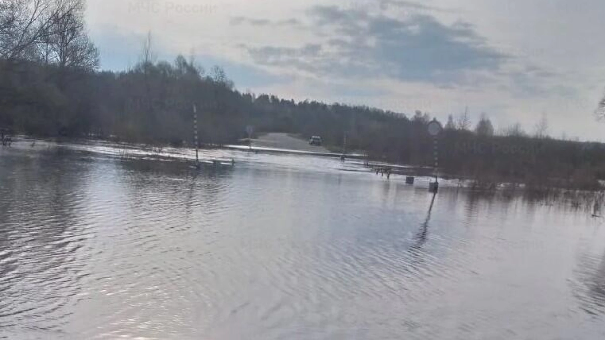 Паводковая ситуация в Мордовии названа стабильной