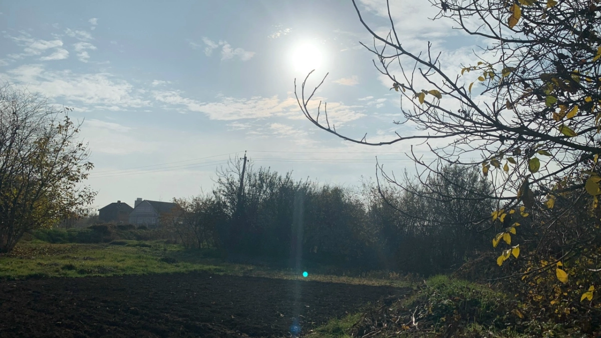 Школьникам Мордовии рассказали о том, как производится зерно и какие специалисты для этого нужны