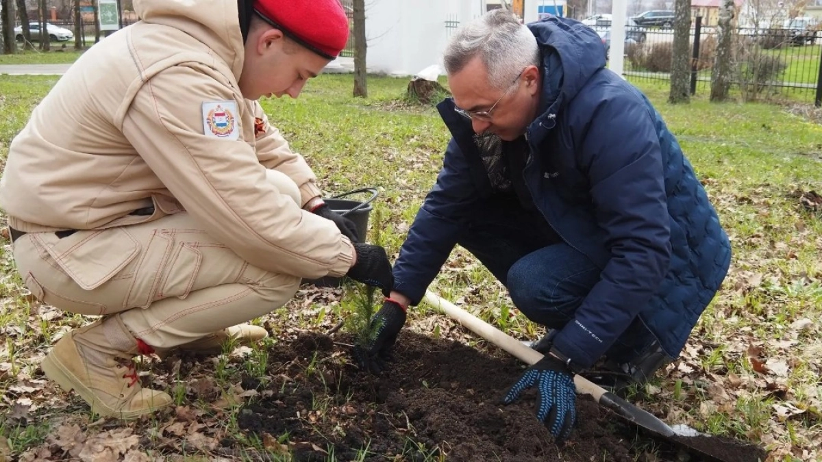 В парке культуры и отдыха Рузаевки была высажена еловая аллея