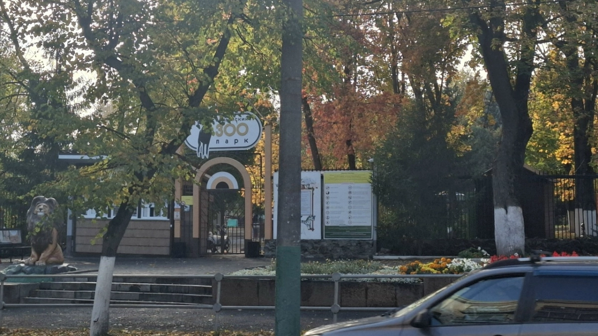 В Инсарском районе из частного подворье забрали подброшенного лосенка