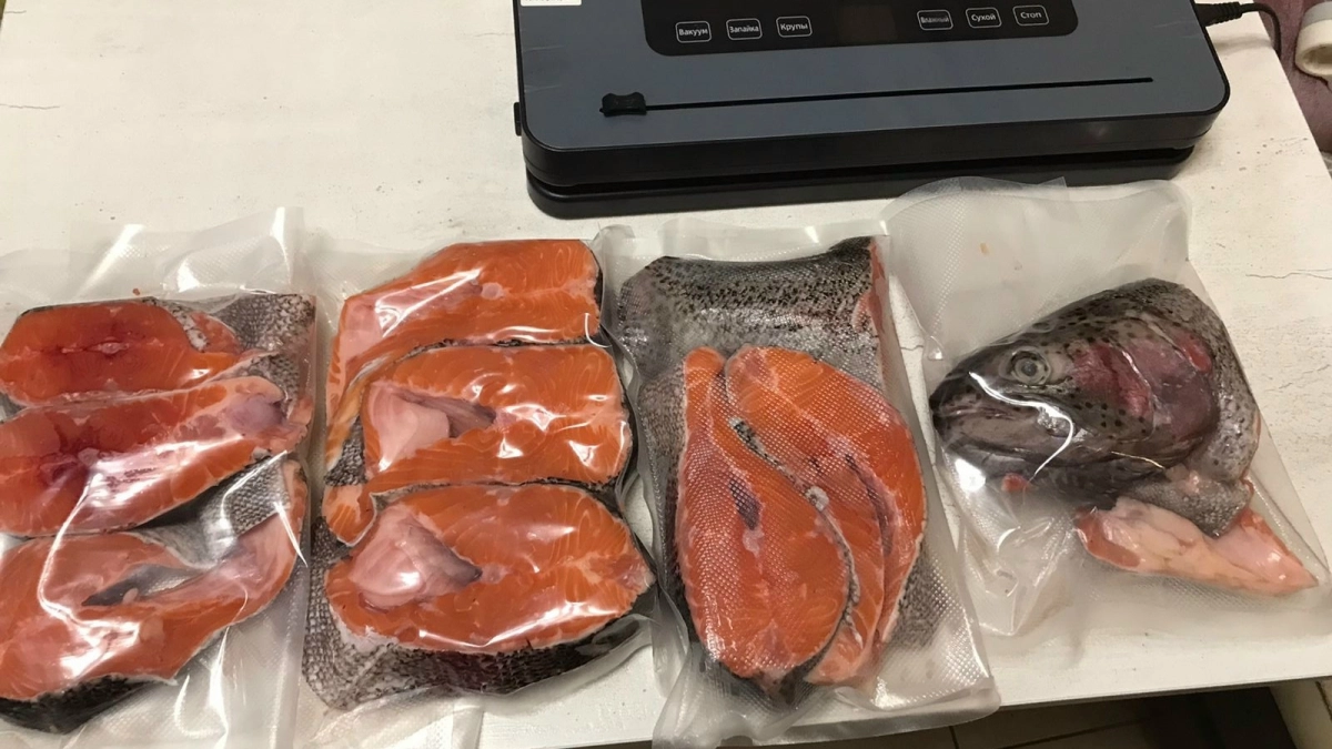 В Светофоре свежий завоз радужной форели: охлажденка всего за 550 рублей - хоть на засолку, хоть на мангал