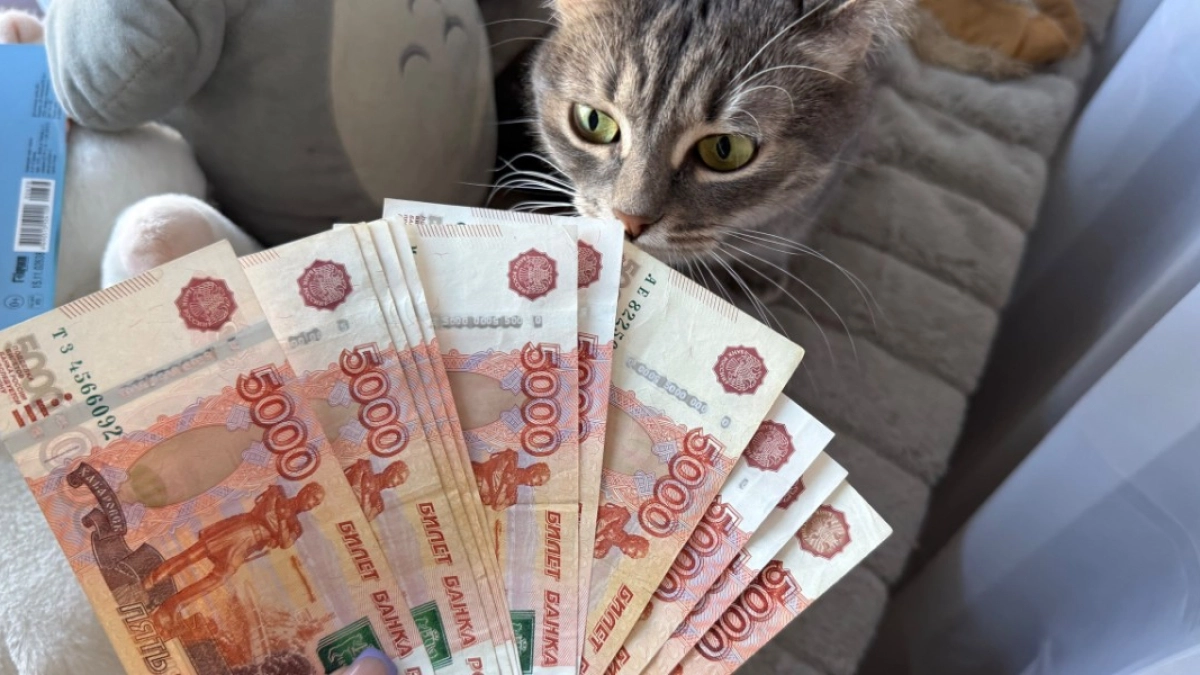 Жительница Саранска, желая заработать на инвестициях, лишилась 715 тыс. рублей