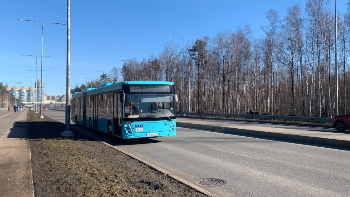 Верховный суд установил: можно ли объехать автобус, который стоит на остановке, если слева сплошная