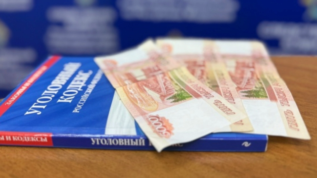 В Мордовии осужденного задержали за попытку подкупить сотрудника тюрьмы